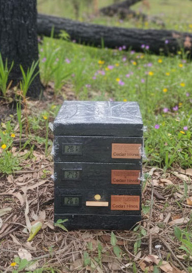 Premium MY OATH Bee Box 