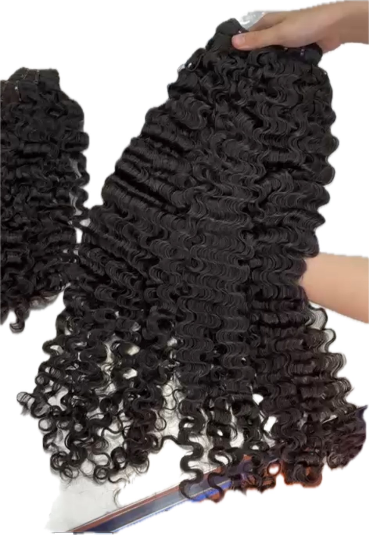 Raw Burmese Curly DD