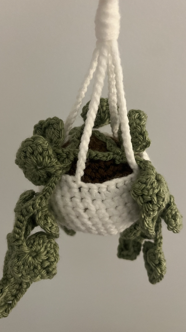 Handmade Crochet Hanging Plant 
