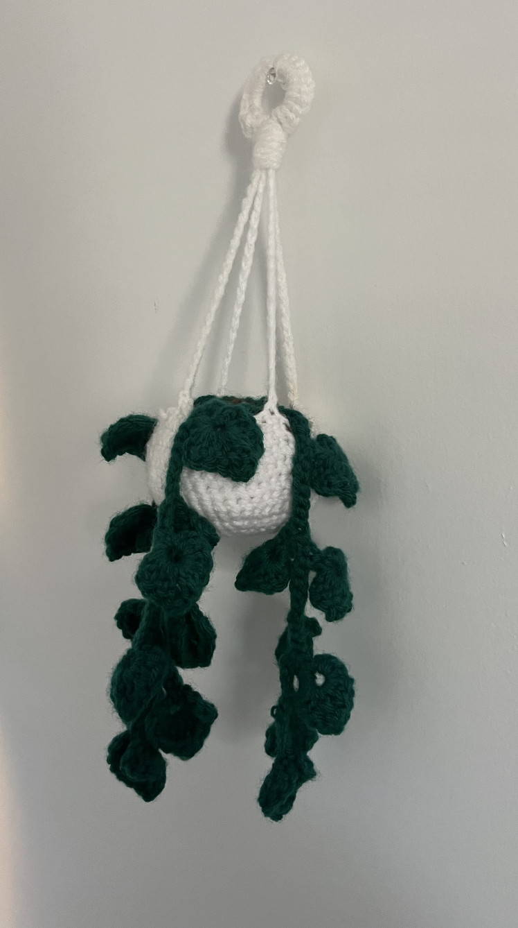 Crocheted Hanging Pothos Plant Decoration