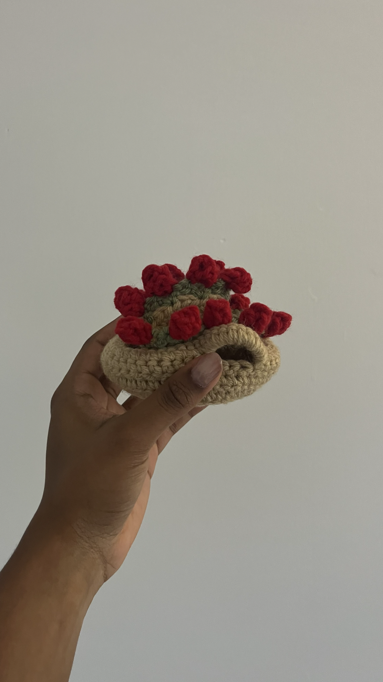 Handmade Crochet Rose Garden Coaster - Sets of 2 or Mix & Match