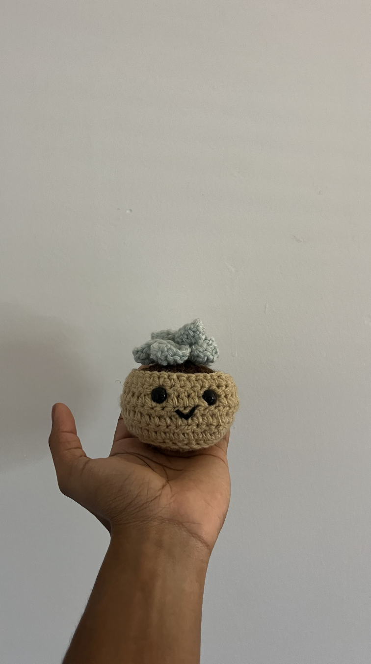Crocheted Succulent Plush