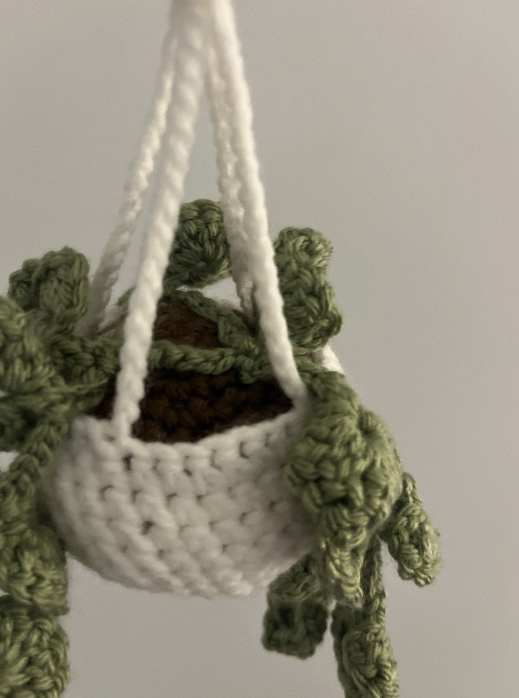 Handmade Crochet Hanging Plant 