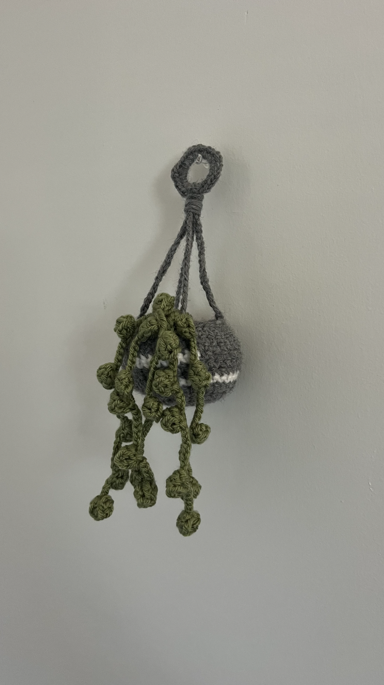 Handmade Crochet Hanging Plant