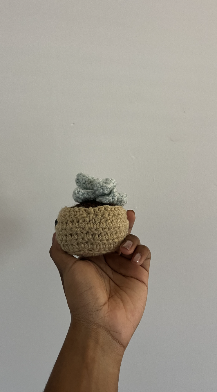 Crocheted Succulent Plush