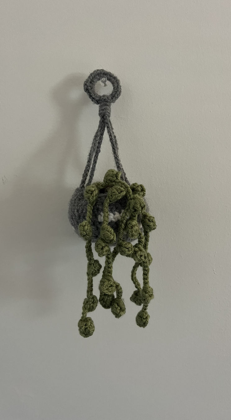 Handmade Crochet Hanging Plant