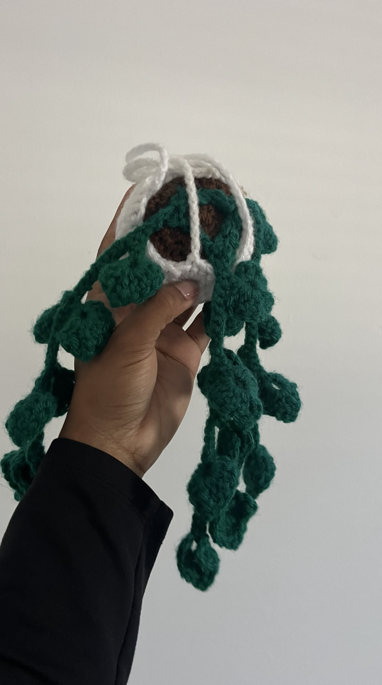Crocheted Hanging Pothos Plant Decoration