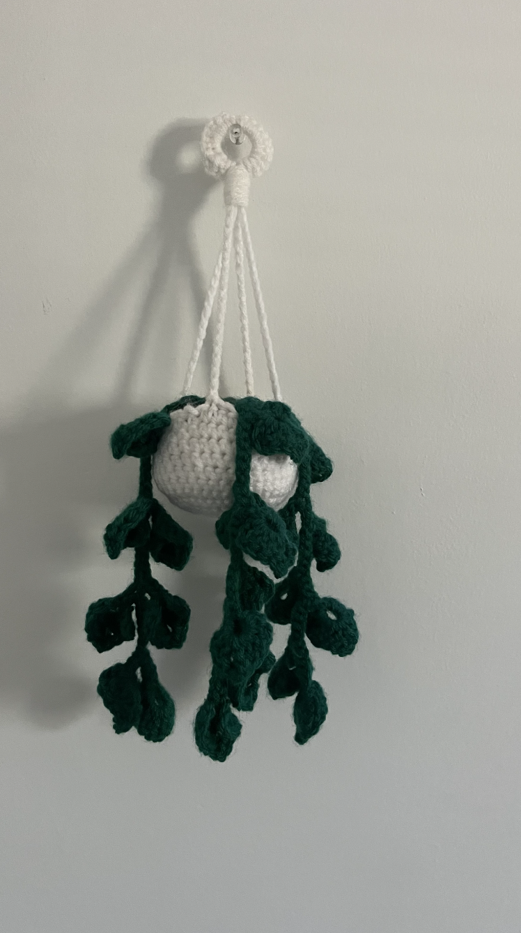 Crocheted Hanging Pothos Plant Decoration