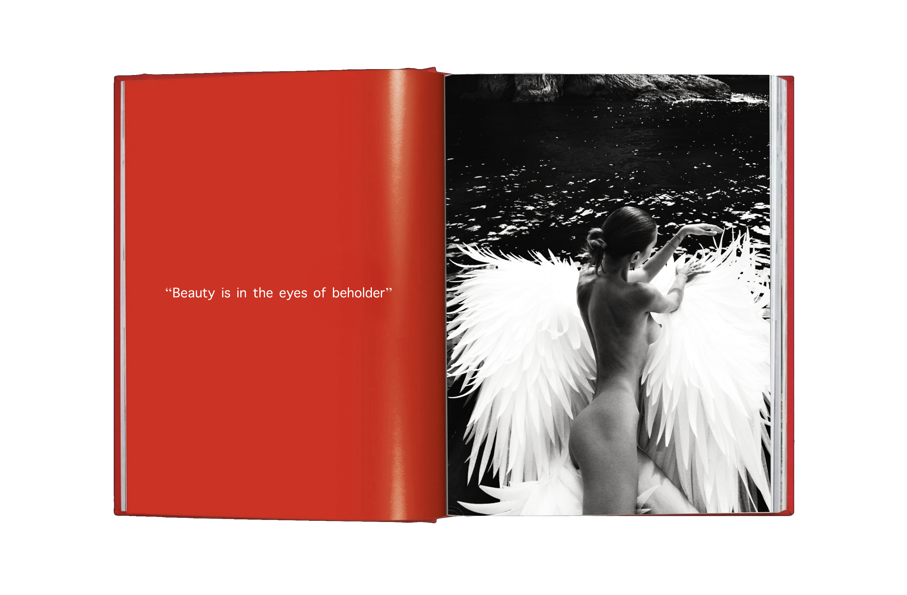 BOOK "Alya" by Vassilis Pitoulis