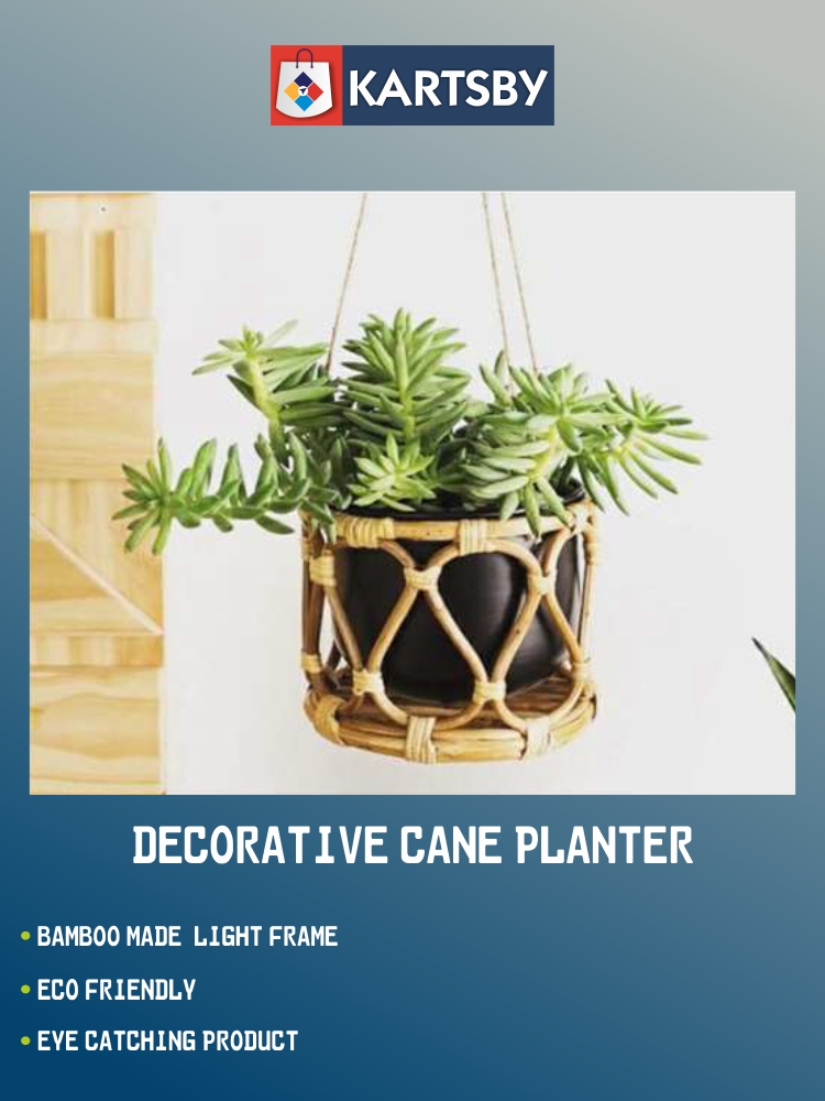 Decorative Cane Planter