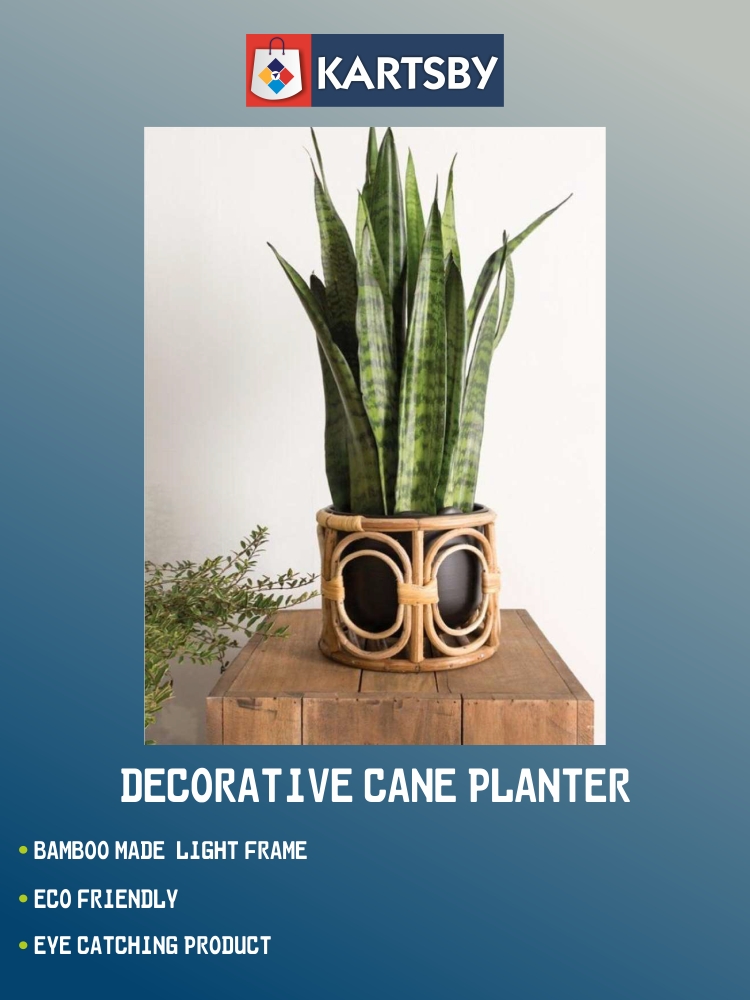 Decorative Cane Planter
