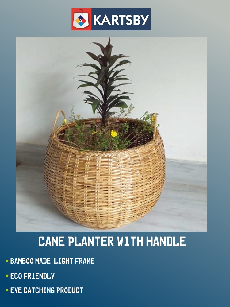 Cane Planter with Handle