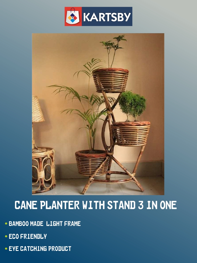 Cane Planter with Stand 3 in 1