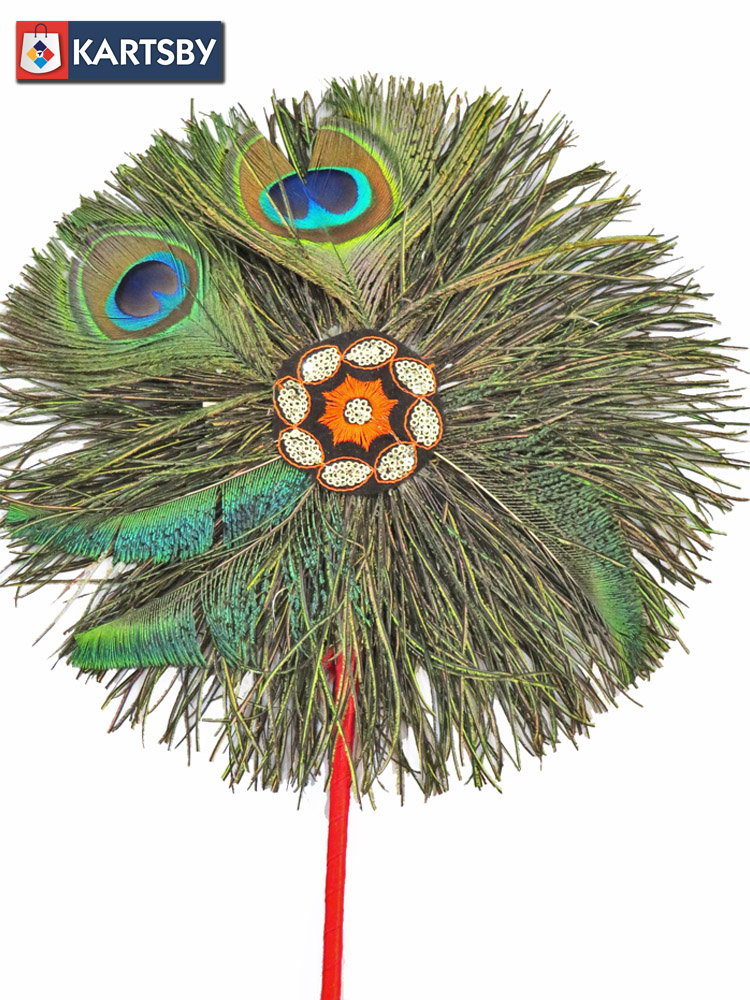 Peacock Feather Hand Fan
