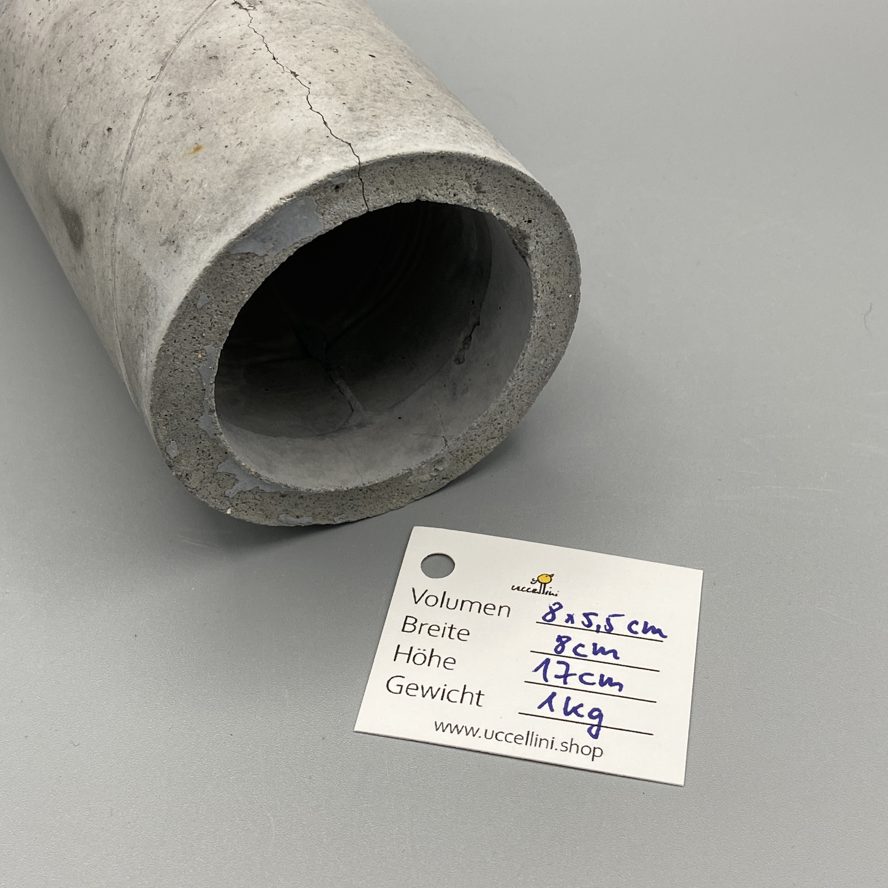 Beton-Übertopf für kleine Pflanze