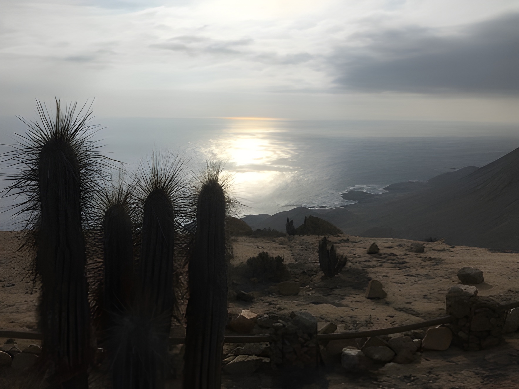 Parque Nacional Pan De Azúcar, sector Las Lomitas