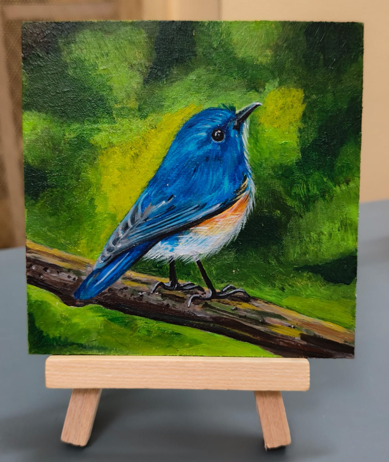 Himalayan Bluetail bird