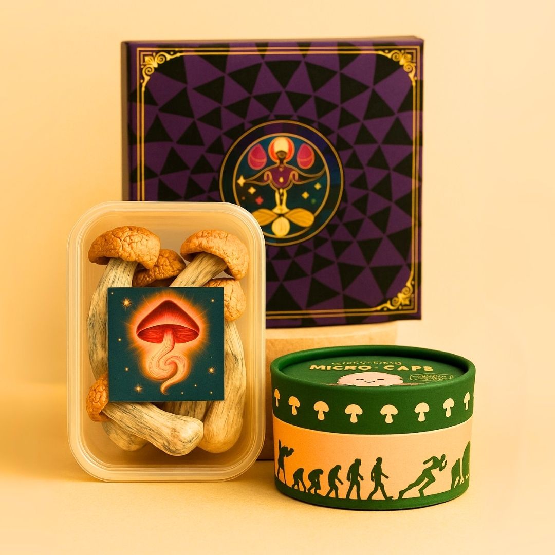 Sesión de Dirección Personal