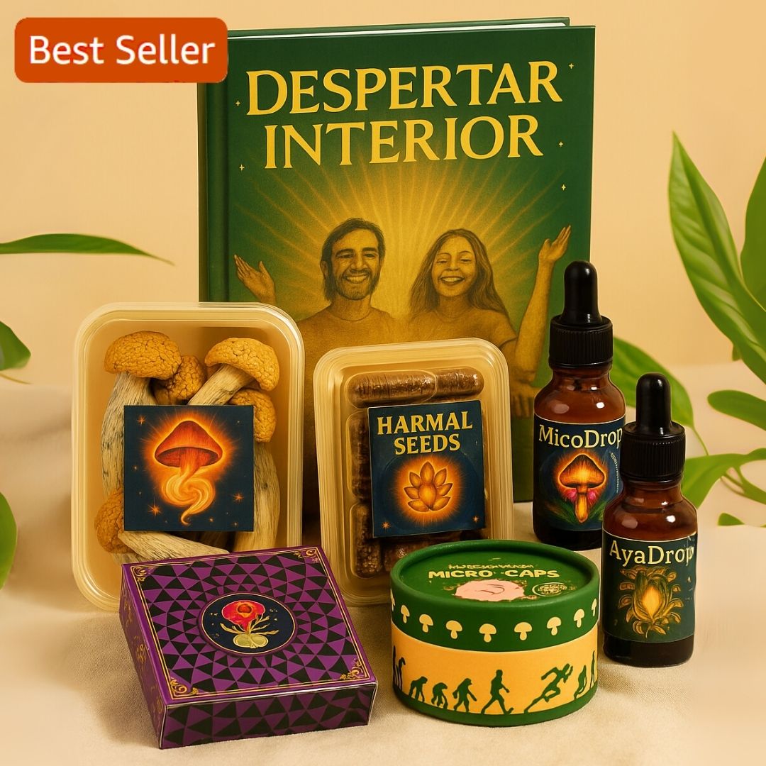 Programa de Acompañamiento Personal