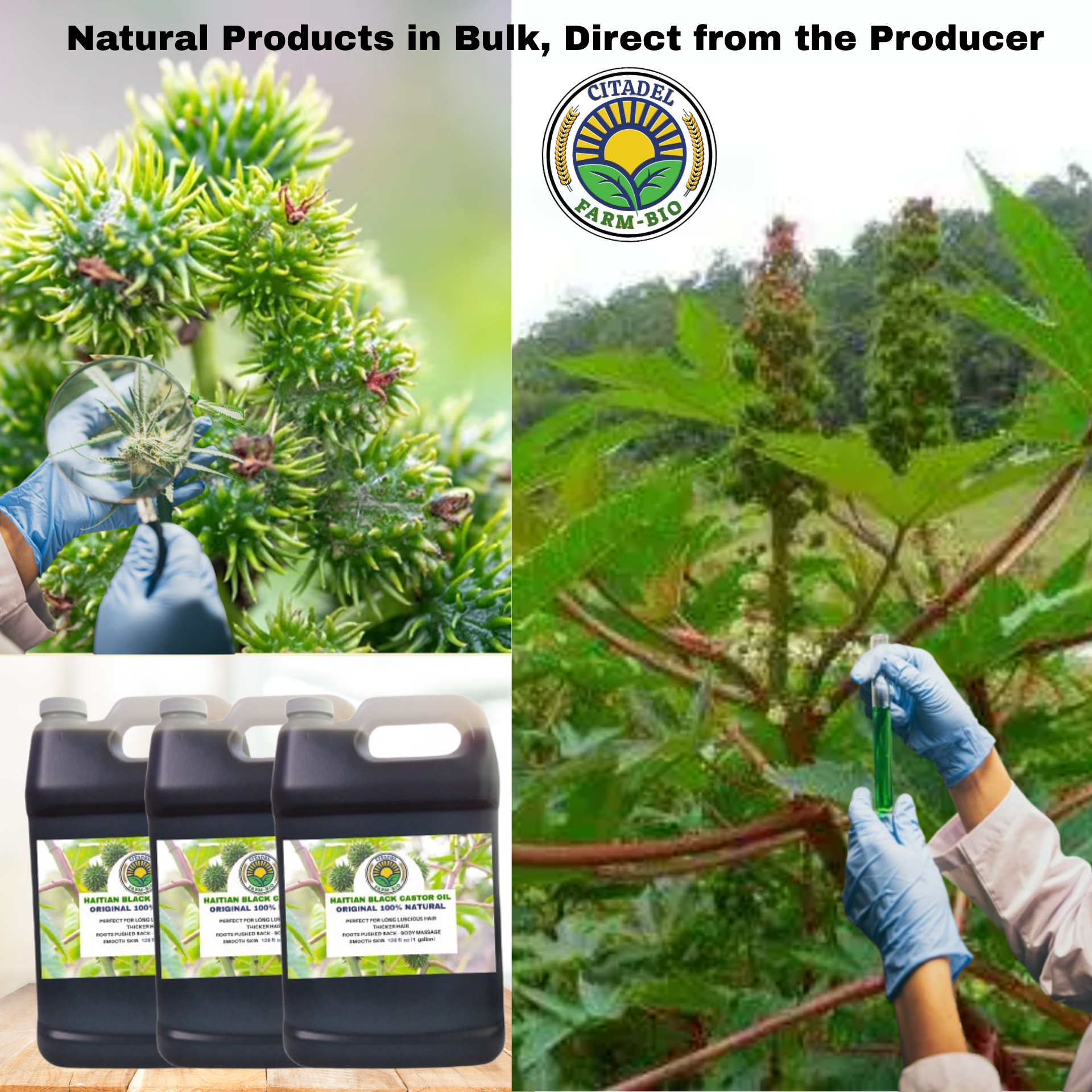 Organic Castor Oil 128 oz – Hair Growth, Skin & Scalp Care