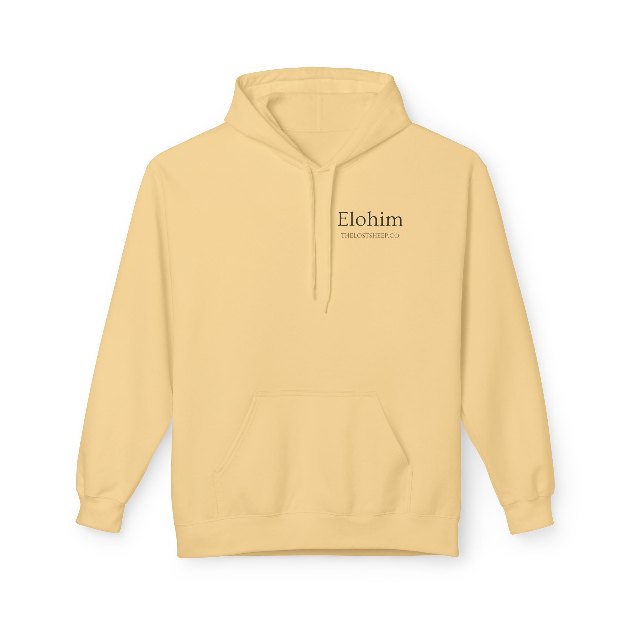  Genesis 1:1 "Elohim" - Hoodie 