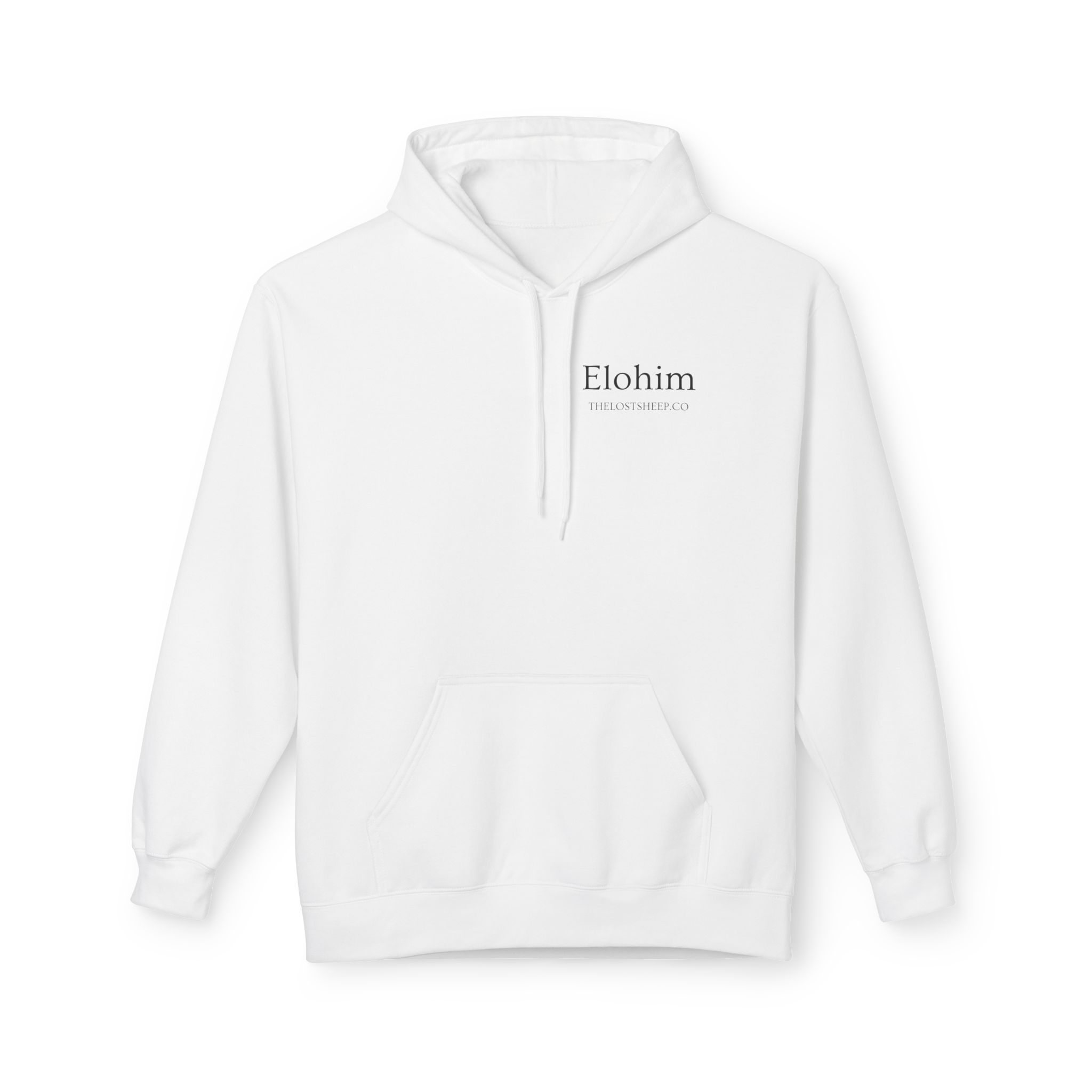  Genesis 1:1 "Elohim" - Hoodie 