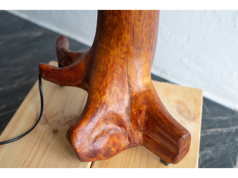 Modernus stalo šviestuvas iš medžio šaknies