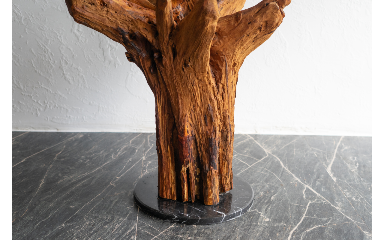 Natūralios šaknies kavos staliukas su stiklo viršumi