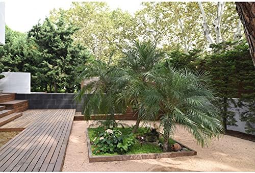 Beneito Faure Zas Quadrato Mini Proiettore a LED 