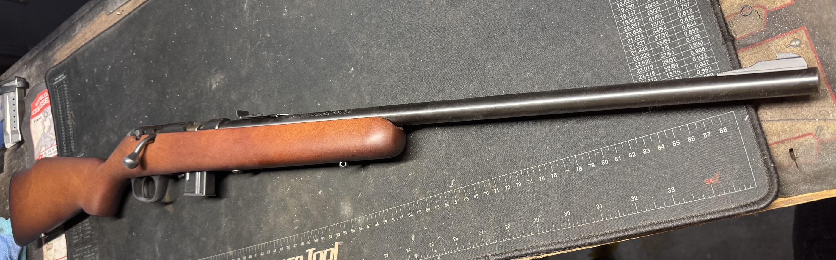 Marlin 925M chambered in .22 Magnum  (used)