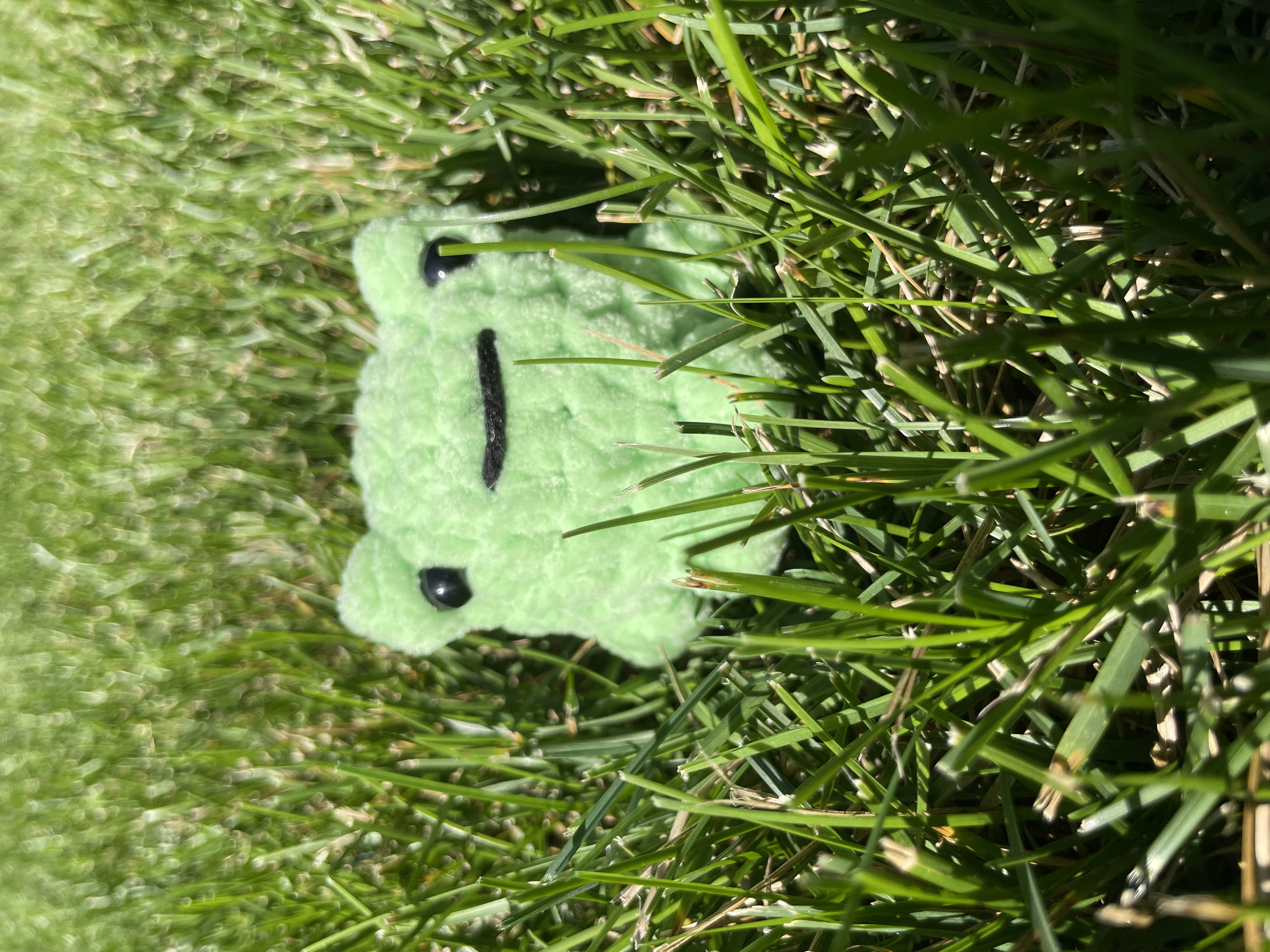 Handmade Plush Frogs