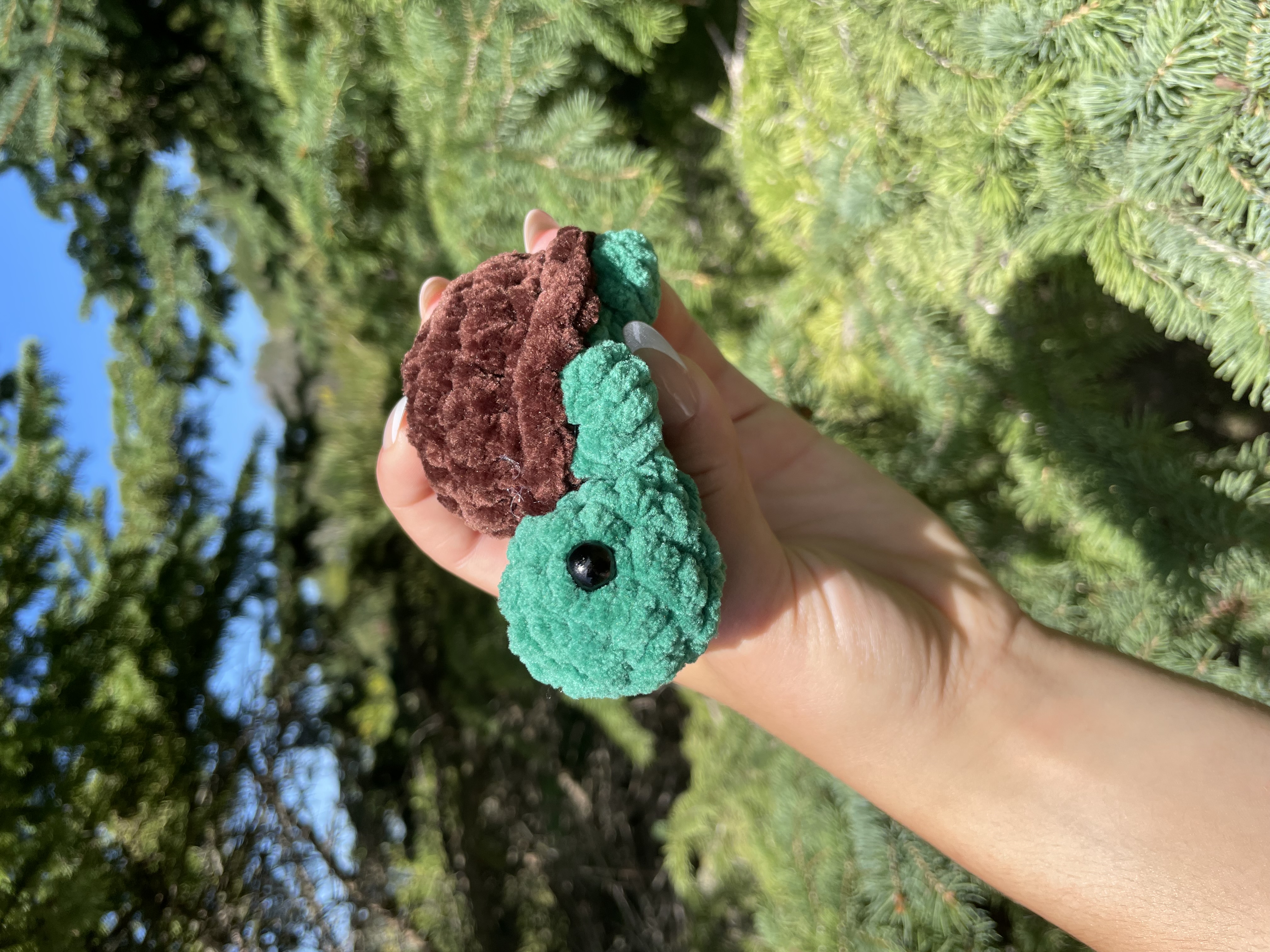 Plush Turtle Toy