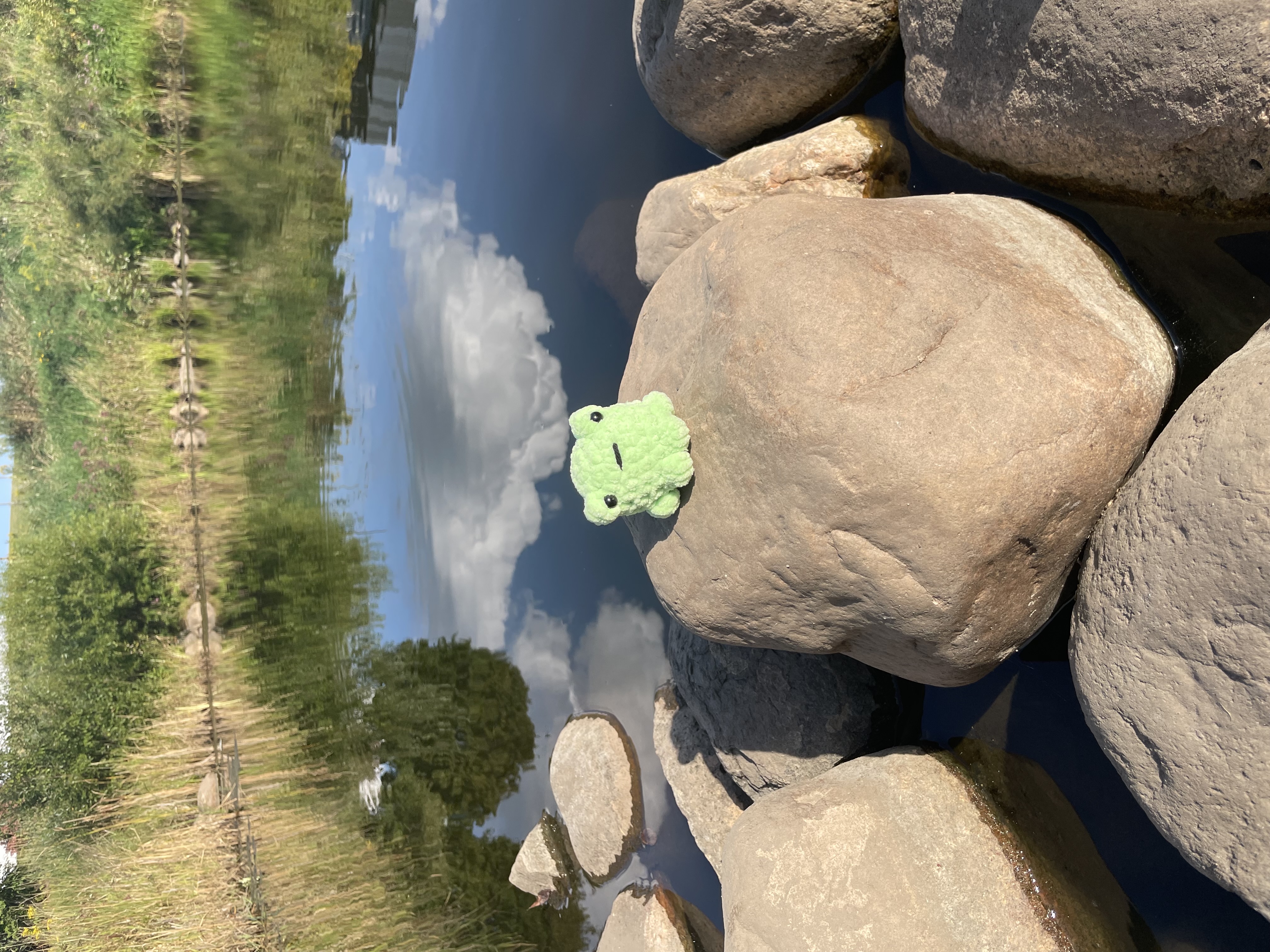 Handmade Plush Frogs