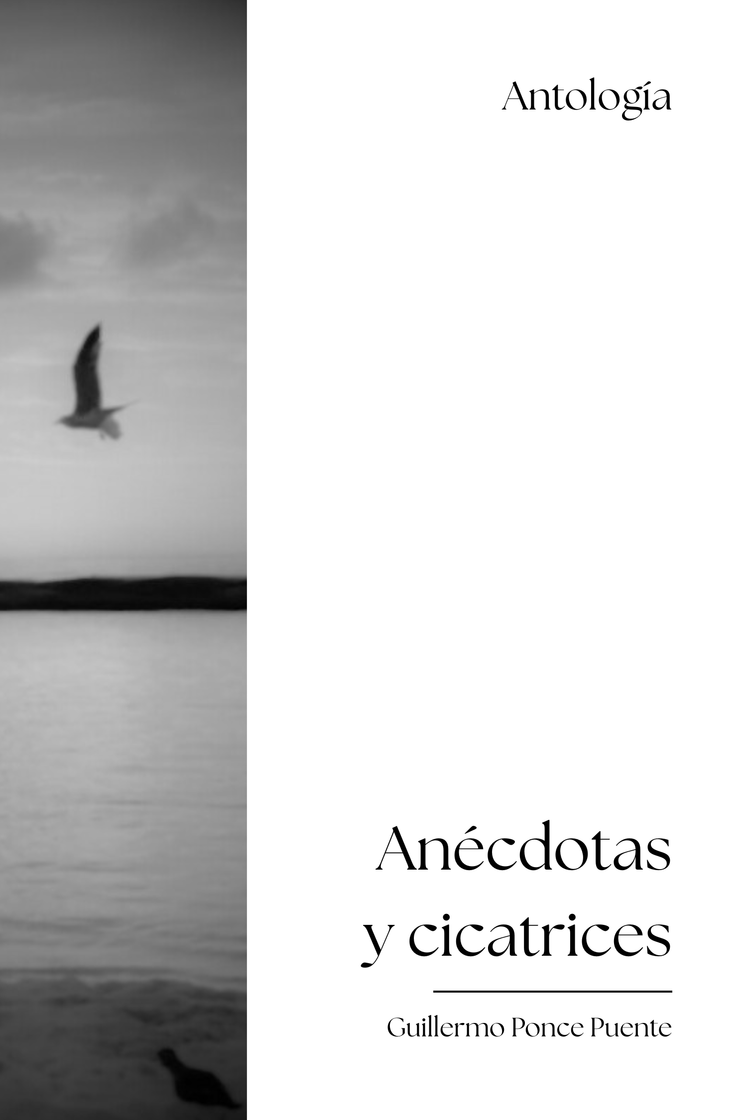 Anécdotas y Cicatrices