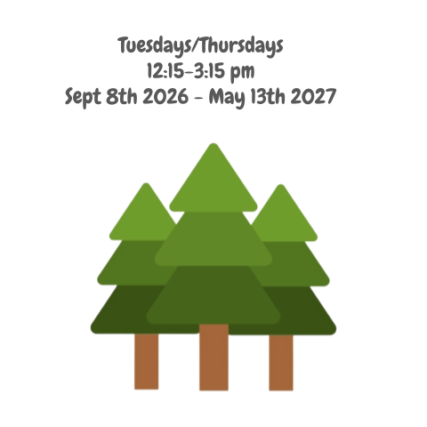 My Backyard Playschool Registration