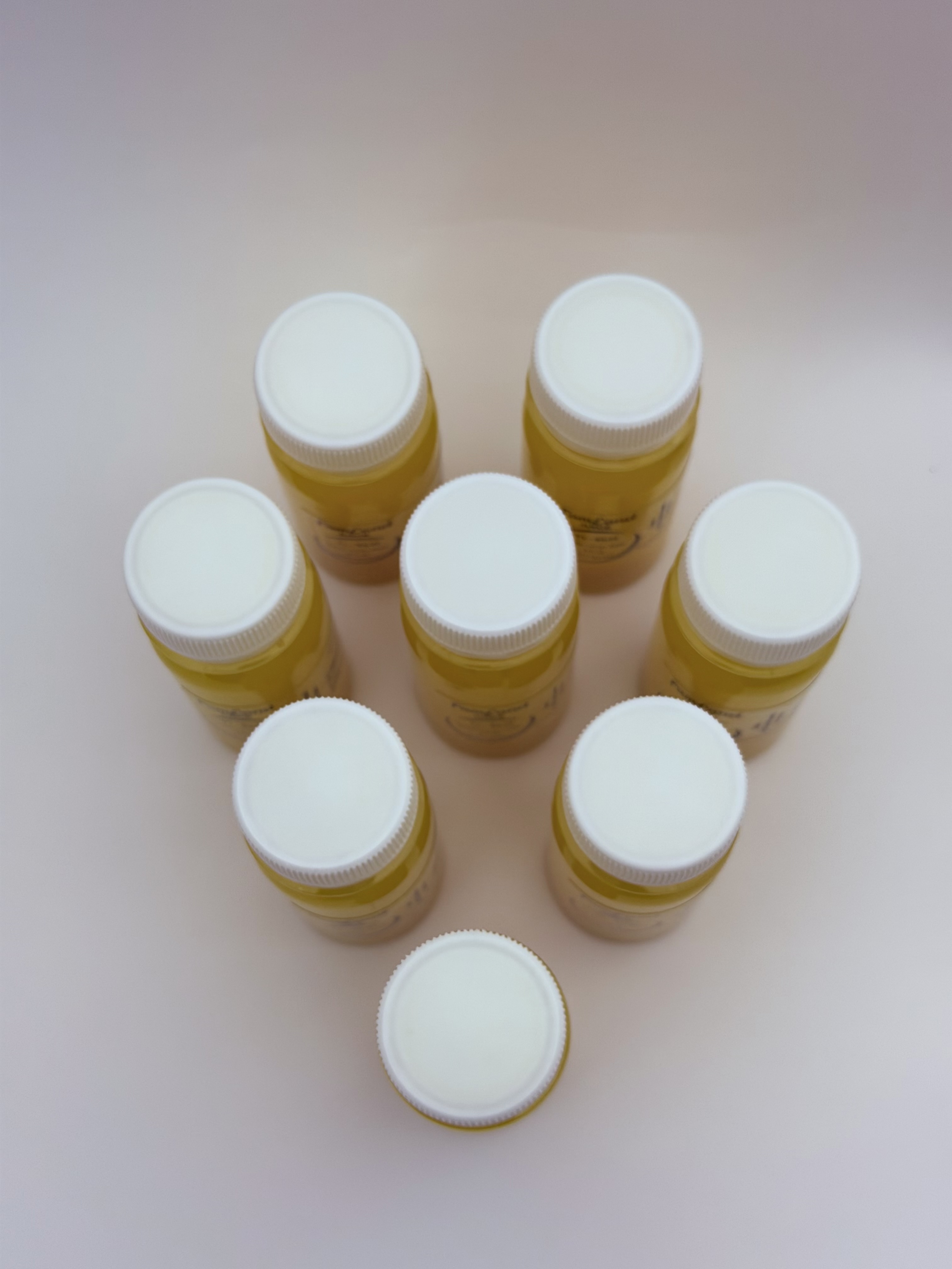 Turmeric Lemon Ginger (TL-SbM) Pack of 4 (2.3 fl oz)