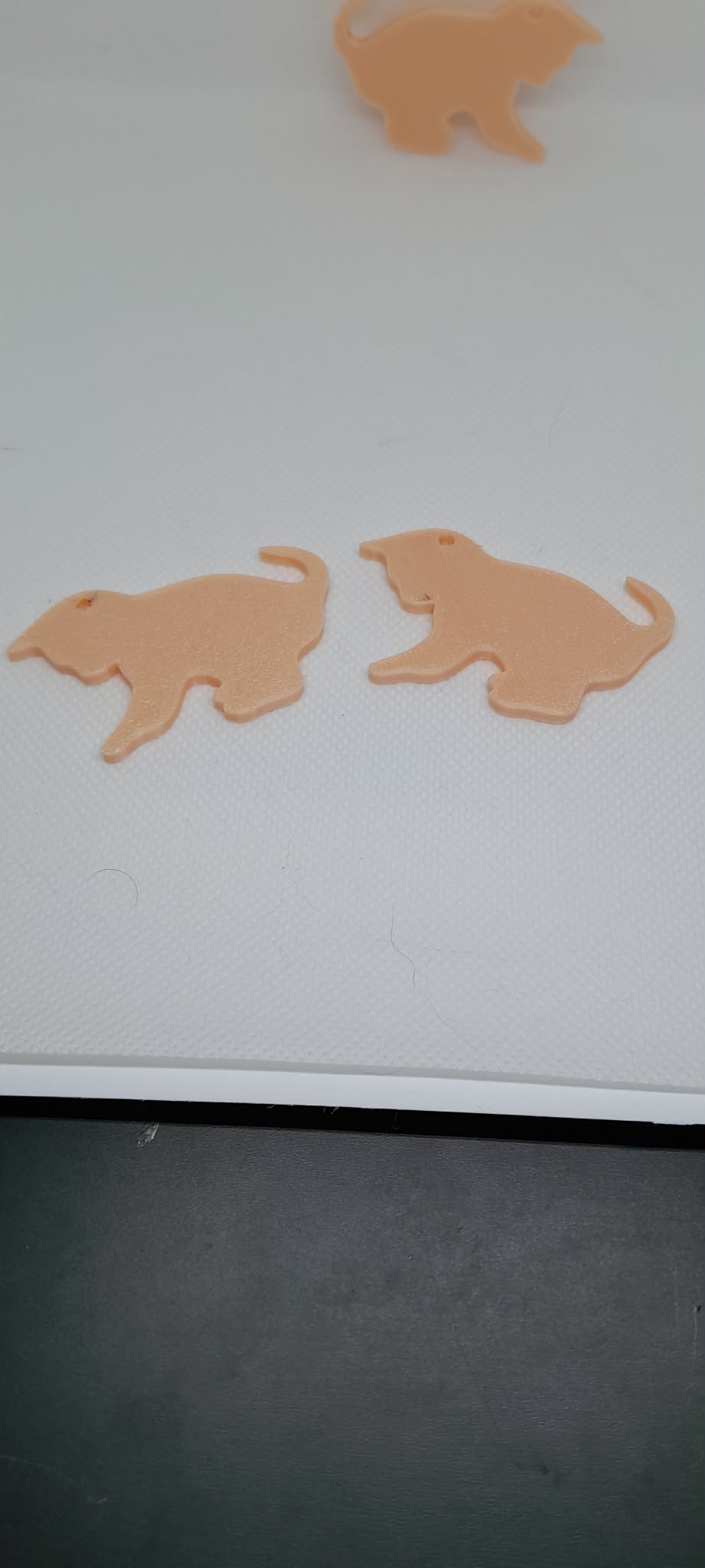 porte clé ombre de chat