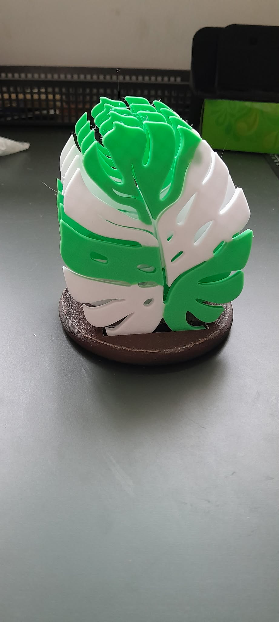 sous de verre monstera