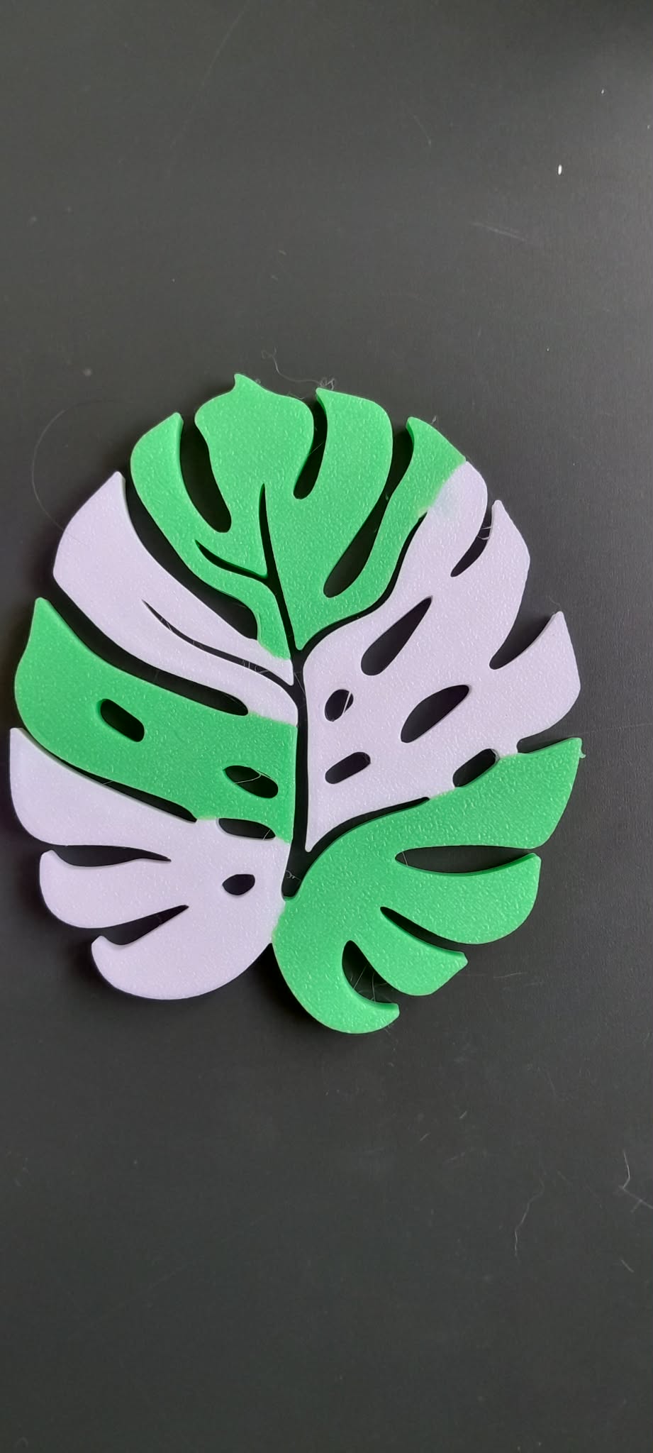 sous de verre monstera