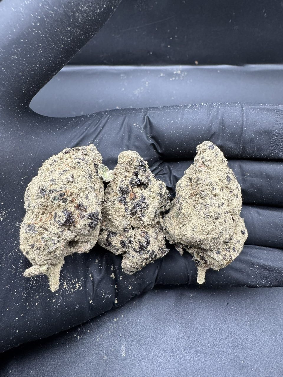 MOON ROCK 🇺🇸💥