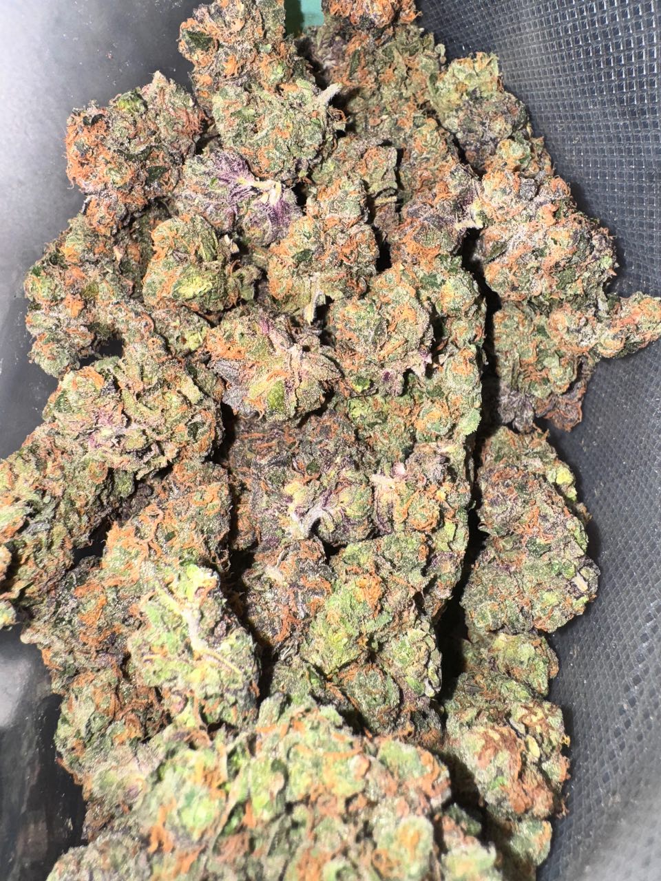 TOP SHELF CALI USA 🇺🇸