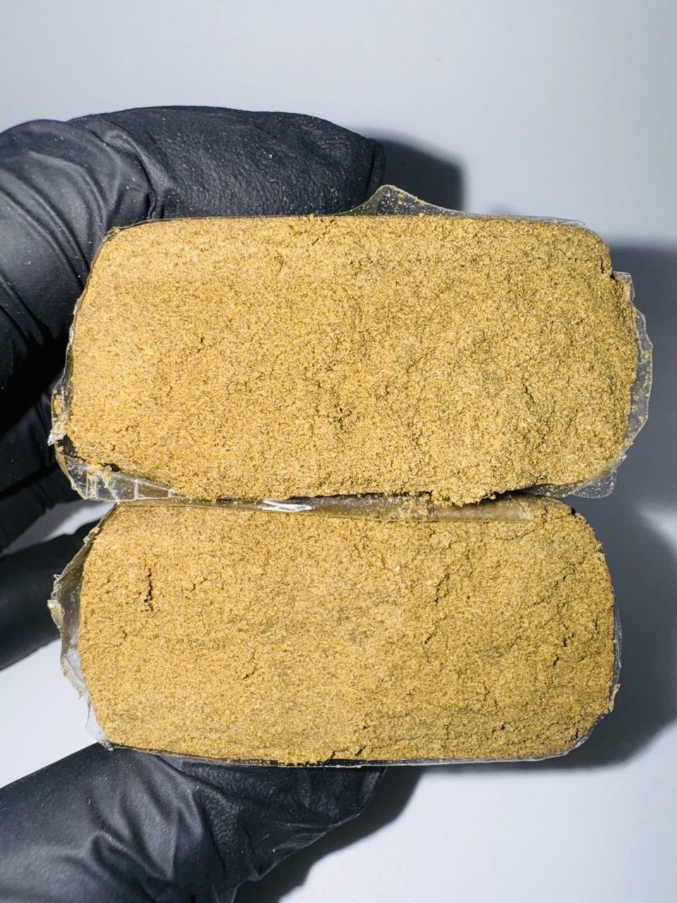 LA MOUSSE 🧽 {+++}🟥