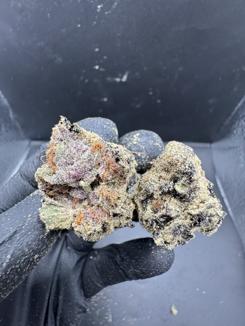 MOON ROCK 🇺🇸💥