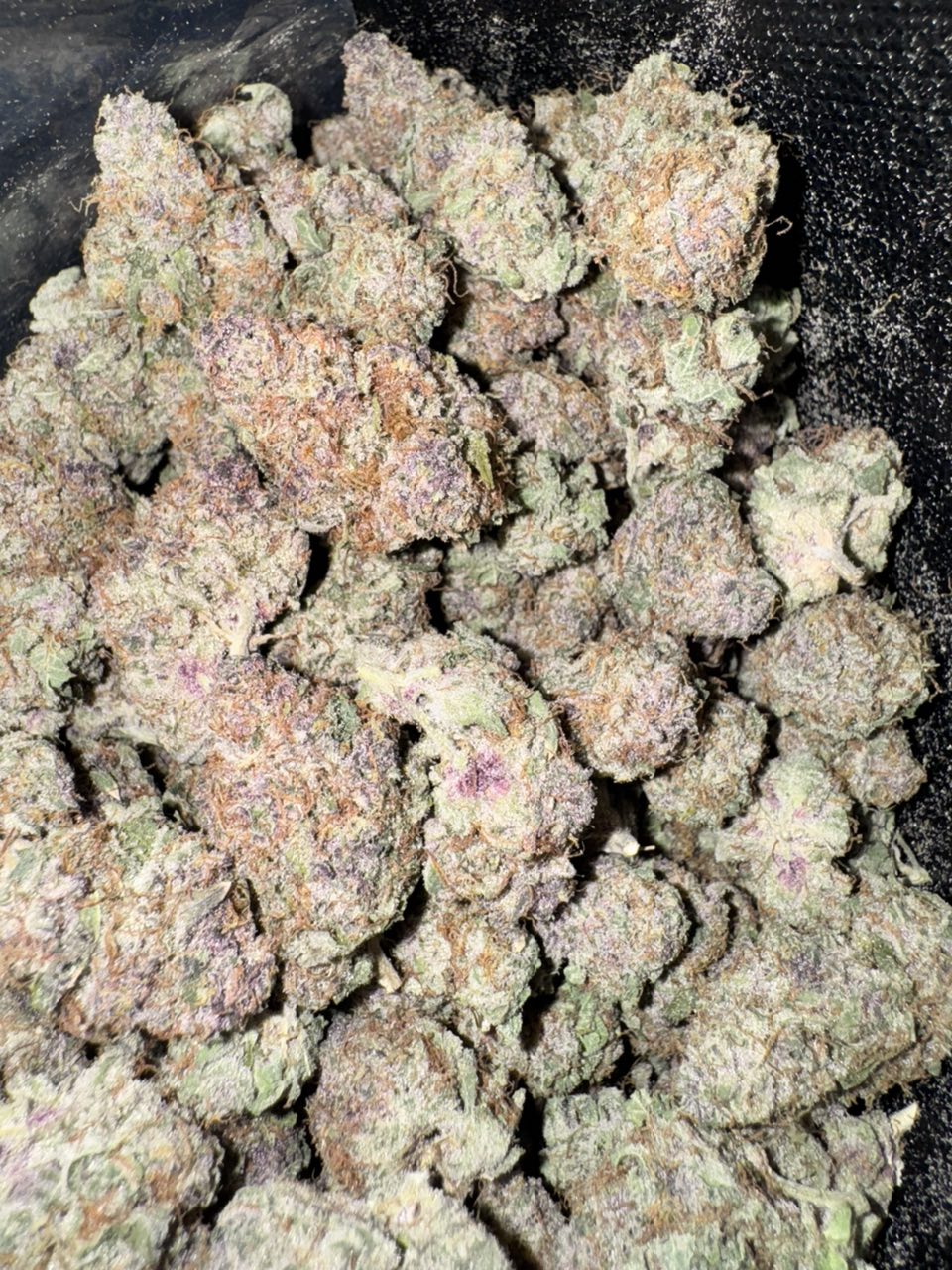 TOPSHELF CALI SPAIN 🇪🇸 