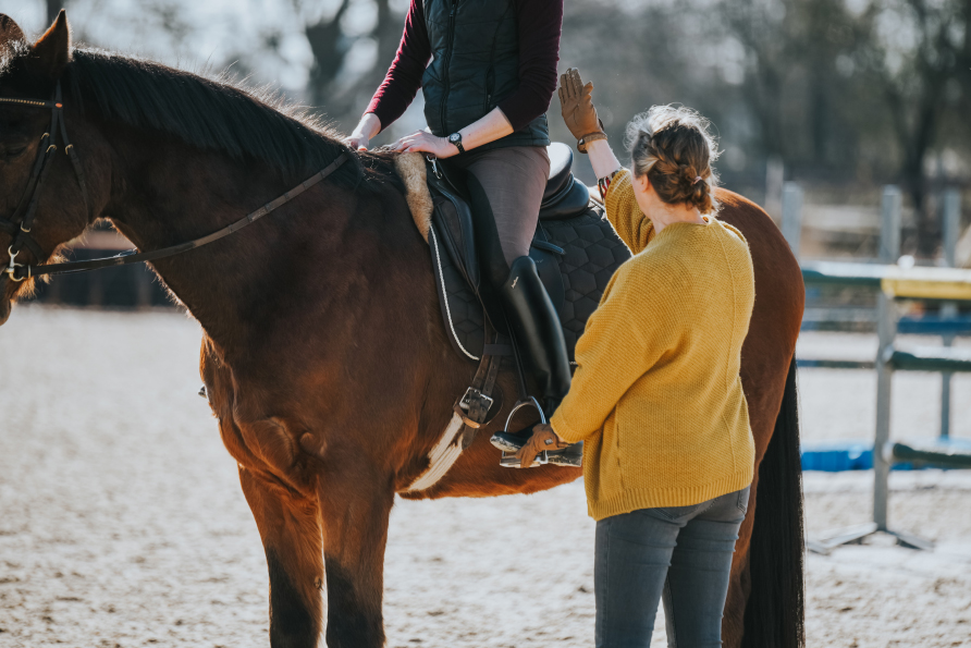 Wunschkonzert - Sitzschulung und barocke Reitkunst: 31.1.-1.2.2026