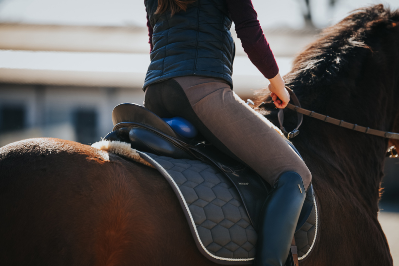 Wunschkonzert - Sitzschulung und barocke Reitkunst: 31.1.-1.2.2026