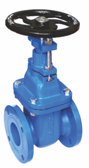 Kartar DI Sluice Valve (Rising Spindle)