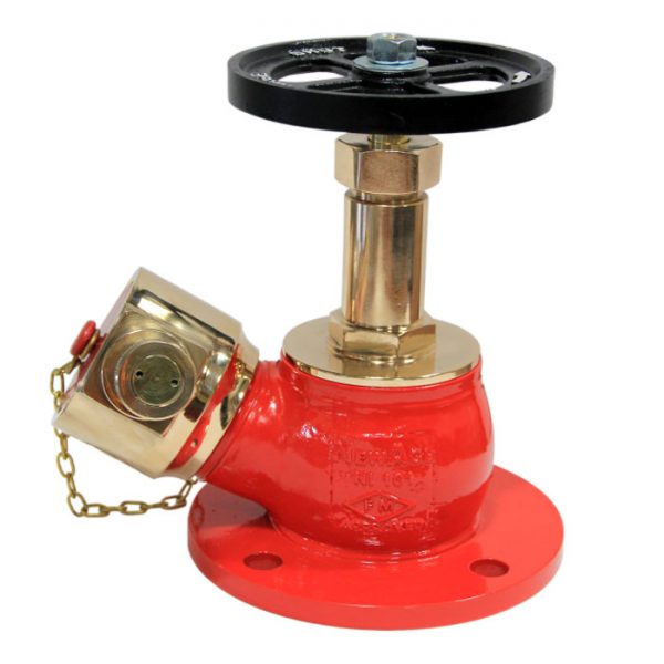 Newage Hydrant Valve 