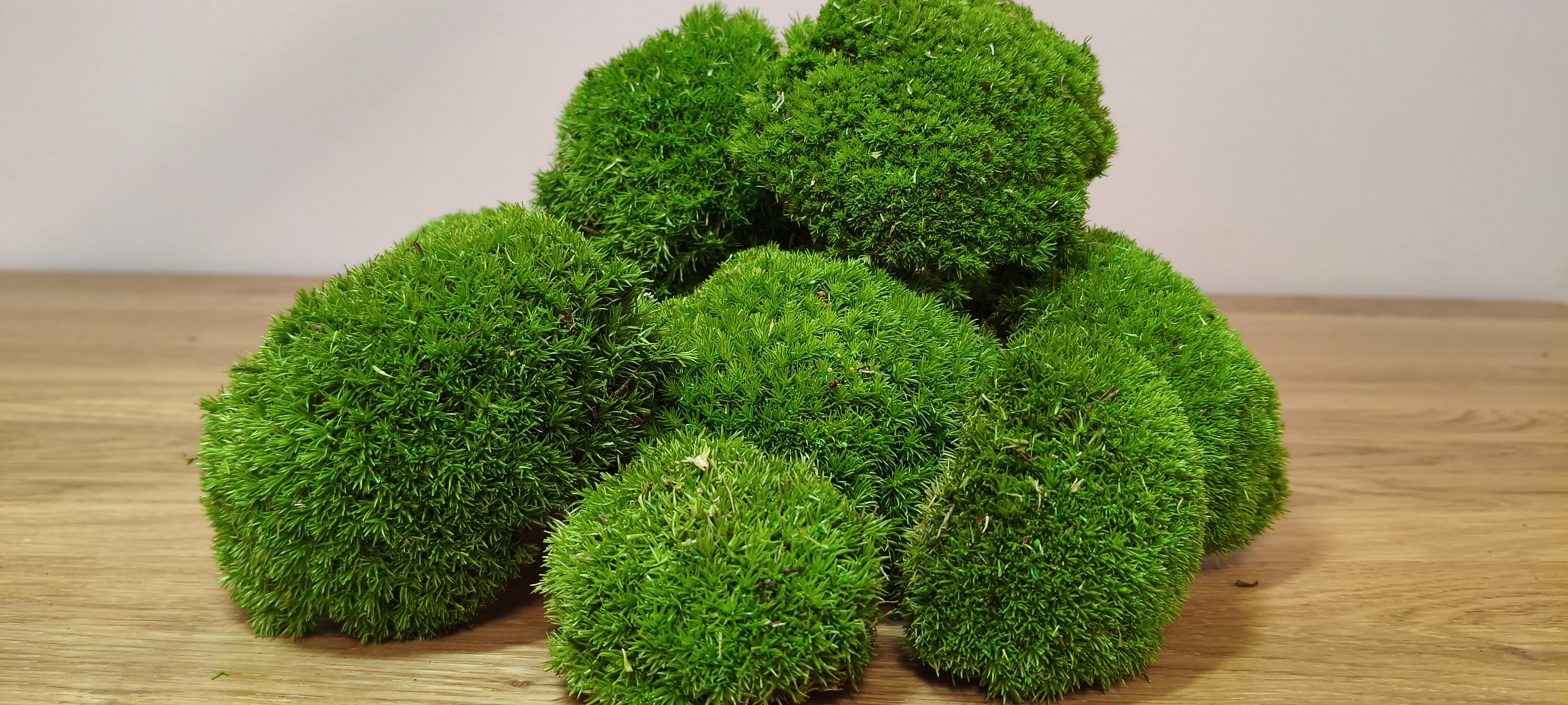 Stabilizuotos kupstinės samanos Pole Moss (šviesiai žalios)