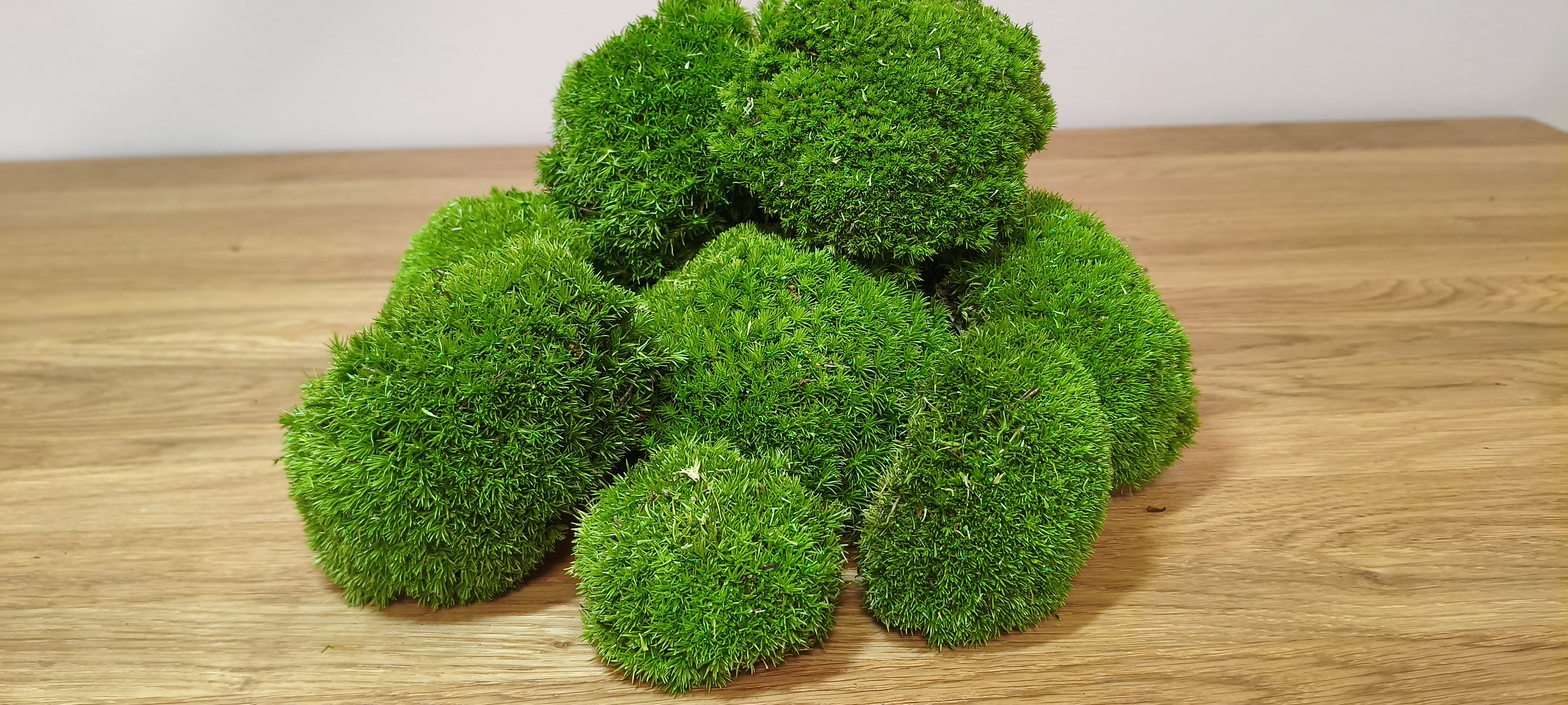Stabilizuotos kupstinės samanos Pole Moss (šviesiai žalios)